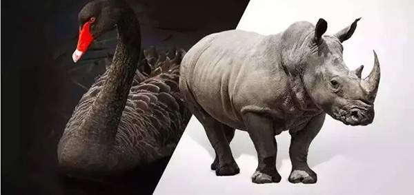 1583243020207908.jpg 2.jpg