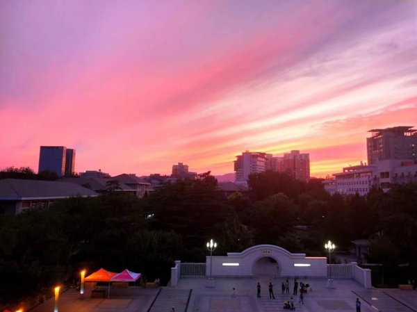 1600073998979381.jpg 4.jpg