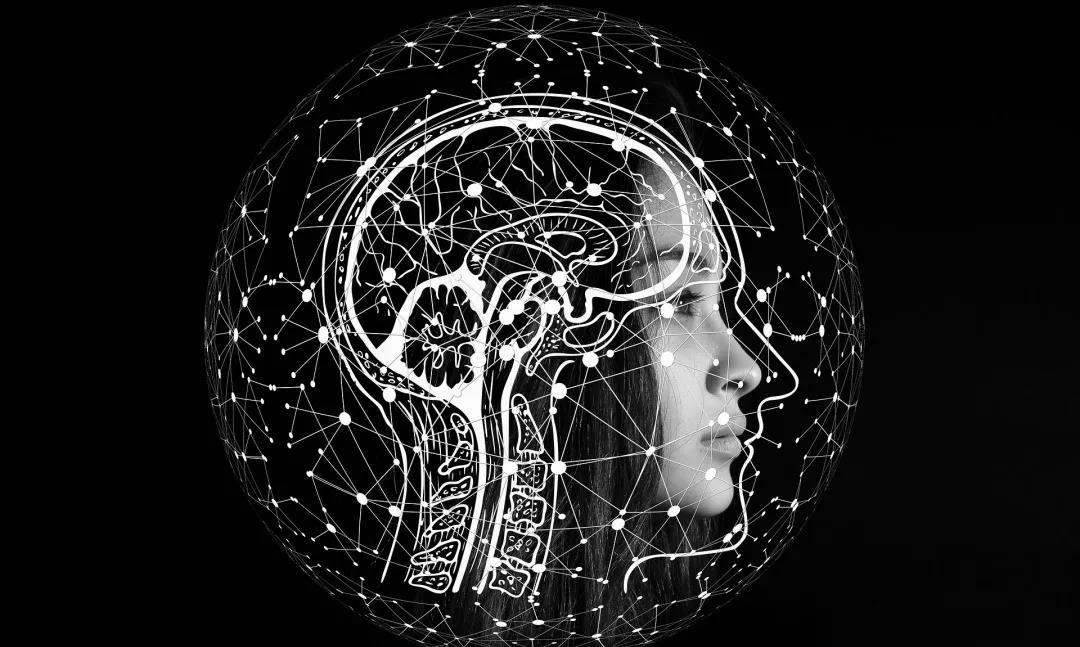 1618038868694713.jpg 1618038868694713.jpg