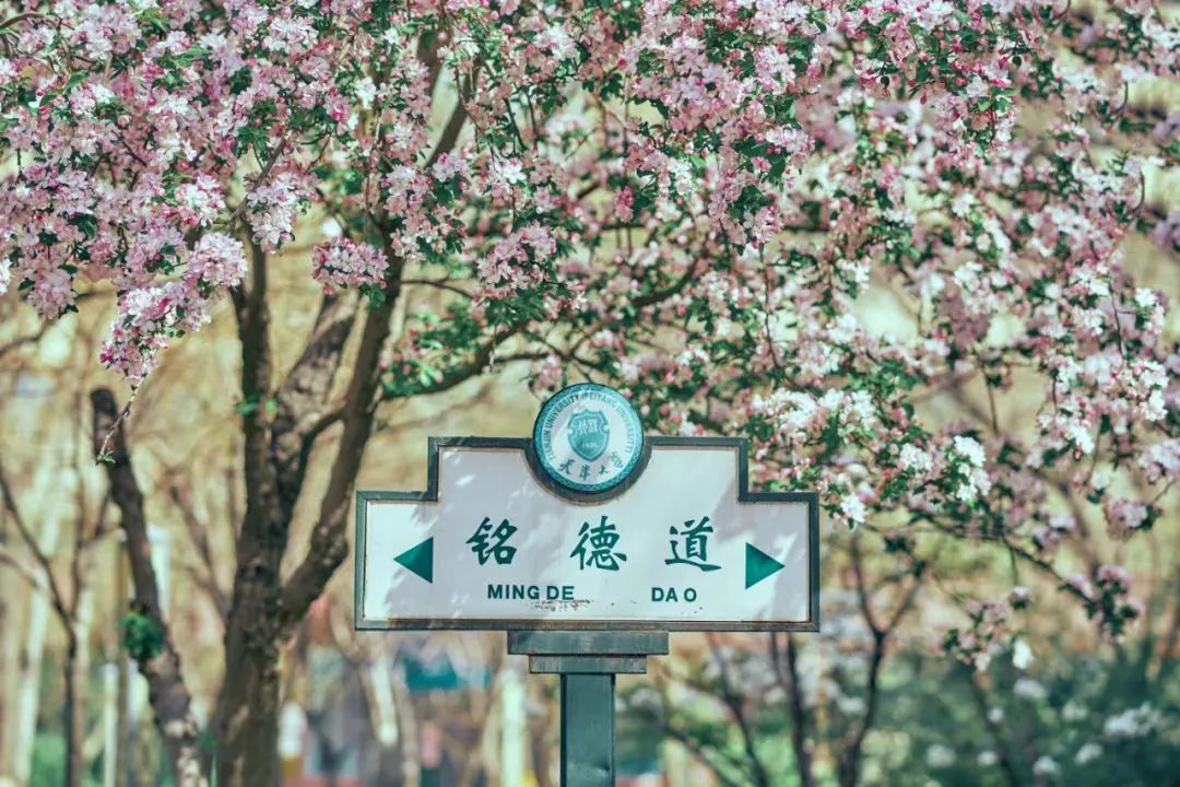 1705460769308220.jpg 1705460769308220.jpg