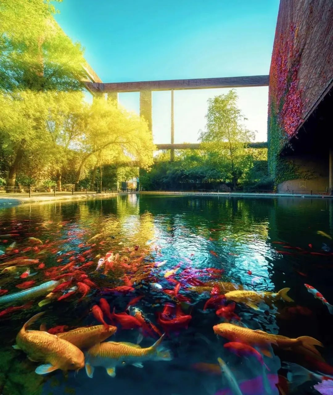 1705462464327961.jpg 1705462464327961.jpg